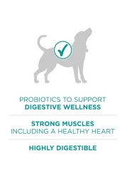 بورينا وان بلس تركيبة صحية للجهاز الهضمي، طعام للكلاب، 3.63 كغ