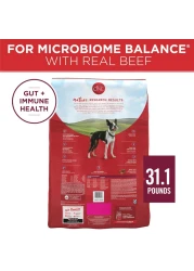 Purina ONE Small Bites Beef &amp; Rice Formula, Dog Food 3.63kg
