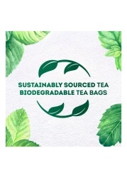 Lipton Herbal Infusion Mint 20 Tea Bags