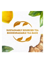 Lipton Herbal Infusion Lemon And Ginger 20 Tea Bags