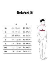 Timberland Blue Men's T-Shirt (Model Code: tb0a2bpr9401)