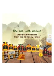 JS Natural Honey 425g