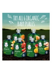 Gerber Organic with Pumpkin, Banana and Carrot, 90g