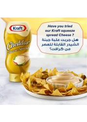 Kraft Cheddar Cheese Spread, 480g Pack of 2