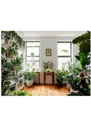 Vsell24 Bio Tech Potting Soil-1,5 kg (5L) Advanced Organic Mix with Beneficial Microbes for Thriving Plants