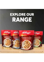 Kellogg's Granola Chocolate with Hazelnuts, 340g