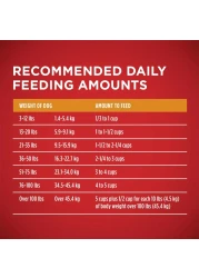 Purina ONE Chicken &amp; Rice Formula, Dog Food, 3.63kg