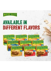 نيتشر فالي ألواح غرانولا بالشوفان المقرمش والقرفة 210 غرام