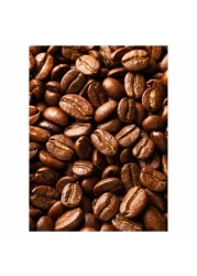 Illy Blend Intenso Bold Roast Coffee Beans 250g