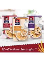 كويكر حبوب الشوفان المقرمشة بنكهة التوت البري 400 غرام