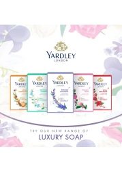 Yardley London Jasmine Soap 100g