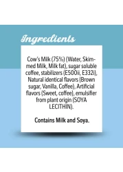 نسكافيه مشروب قهوة لاتيه إسباني، 225 ملل حزمة من 4